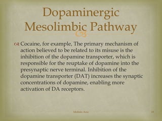 Dopaminergic 
Mesolimbic Pathway 
 
 Cocaine, for example, The primary mechanism of 
action believed to be related to its misuse is the 
inhibition of the dopamine transporter, which is 
responsible for the reuptake of dopamine into the 
presynaptic nerve terminal. Inhibition of the 
dopamine transporter (DAT) increases the synaptic 
concentrations of dopamine, enabling more 
activation of DA receptors. 
Mohsin Aziz 18 
 