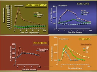 1100 
1000 
900 
800 
700 
600 
500 
400 
300 
200 
100 
0 
Accumbens AMPHETAMINE 
0 1 2 3 4 5 hr 
Time After Amphetamine 
% of Basal Release 
DA 
DOPAC 
HVA 
250 
200 
150 
100 
0 
NICOTINE 
0 1 2 3 hr 
Time After Nicotine 
% of Basal Release 
Accumbens 
Caudate 
250 
200 
150 
100 
ETHANOL 
0 1 2 3 4hr 
Time After Ethanol 
% of Basal Release 
0.25 
0.5 
1 
2.5 
Accumbens 
0 
Dose (g/kg ip) 
Mohsin Aziz 23 
 