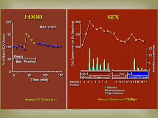 200 
150 
100 
50 
0 
FOOD 
0 60 120 180 
Time (min) 
% of Basal DA Output 
NAc shell 
Empty 
Box Feeding 
Source: Di Chiara et al. 
200 
150 
100 
DA Concentration (% Baseline) 
Scr 
SEX 
Mounts 
Intromissions 
Ejaculations 
15 
10 
5 
0 
Copulation Frequency 
Sample 
Number 
ScrScr 
BasFemale 1 Present 
Scr 
Female 2 Present 
1 2 3 4 5 6 7 8 9 10 11 12 13 14 15 16 17 
Source: Fiorino and Phillips 
Mohsin Aziz 25 
 