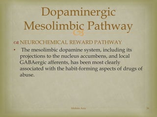 Dopaminergic 
Mesolimbic Pathway 
 
 NEUROCHEMICAL REWARD PATHWAY 
• The mesolimbic dopamine system, including its 
projections to the nucleus accumbens, and local 
GABAergic afferents, has been most clearly 
associated with the habit-forming aspects of drugs of 
abuse. 
Mohsin Aziz 26 
 