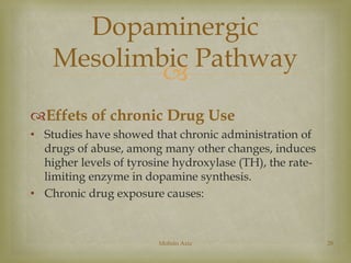 Dopaminergic 
Mesolimbic Pathway 
 
Effets of chronic Drug Use 
• Studies have showed that chronic administration of 
drugs of abuse, among many other changes, induces 
higher levels of tyrosine hydroxylase (TH), the rate-limiting 
enzyme in dopamine synthesis. 
• Chronic drug exposure causes: 
Mohsin Aziz 28 
 