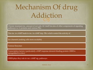 Mechanism Of drug 
Addiction 
 
Chronic treatment inc. amount of not only AC itself but also of other components of signaling 
pathways i.e. G proteins and various PKs. 
This inc. in cAMP leads to inc. in cAMP dep. PKs which control the activity of : 
Ion channels (making cells more excitable) 
Various Enzymes 
Transcription factors ( particularly cAMP response element-binding protein CREB is 
upregulated in nAcc) 
CREB plays Key role in var. cAMP sig. pathways. 
Mohsin Aziz 37 
 