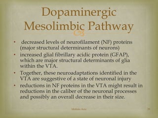 Dopaminergic 
Mesolimbic Pathway 
 
• decreased levels of neurofilament (NF) proteins 
(major structural determinants of ...