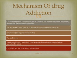 Mechanism Of drug 
Addiction 
 
Chronic treatment inc. amount of not only AC itself but also of other components of signa...