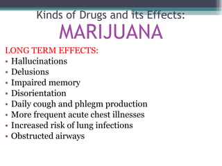 LONG TERM EFFECTS: Hallucinations Delusions Impaired memory Disorientation Daily cough and phlegm production More frequent acute chest illnesses Increased risk of lung infections Obstructed airways Kinds of Drugs and its Effects: MARIJUANA 