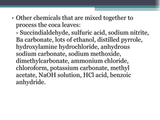 Other chemicals that are mixed together to process the coca leaves: - Succindialdehyde, sulfuric acid, sodium nitrite, Ba carbonate, lots of ethanol, distilled pyrrole, hydroxylamine hydrochloride, anhydrous sodium carbonate, sodium methoxide, dimethylcarbonate, ammonium chloride, chloroform, potassium carbonate, methyl acetate, NaOH solution, HCl acid, benzoic anhydride. 
