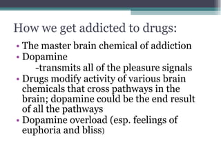 How we get addicted to drugs: The master brain chemical of addiction Dopamine  -transmits all of the pleasure signals Drugs modify activity of various brain chemicals that cross pathways in the brain; dopamine could be the end result of all the pathways Dopamine overload (esp. feelings of euphoria and bliss ) 