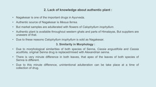 2. Lack of knowledge about authentic plant :
• Nagakesar is one of the important drugs in Ayurveda.
• Authentic source of Nagakesar is Mesua ferrea.
• But market samples are adulterated with flowers of Calophyllum inophyllum.
• Authentic plant is available throughout western ghats and parts of Himalayas, But suppliers are
unaware of that.
• Due to these reasons Calophyllum inophyllum is sold as Nagakesar.
3. Similarity in Morphology :
• Due to morphological similarities of both species of Senna, Cassia angustifolia and Cassia
acutifolia, original Senna drug is replaced/mixed with Alexandrian senna.
• There is very minute difference in both leaves, that apex of the leaves of both species of
Senna is different.
• Due to this minute difference, unintentional adulteration can be take place at a time of
collection of drug.
 