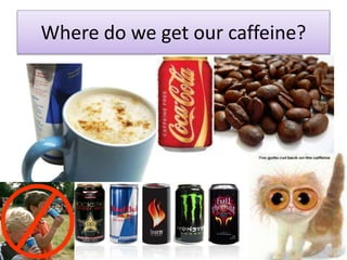 Where do we get our caffeine?
 