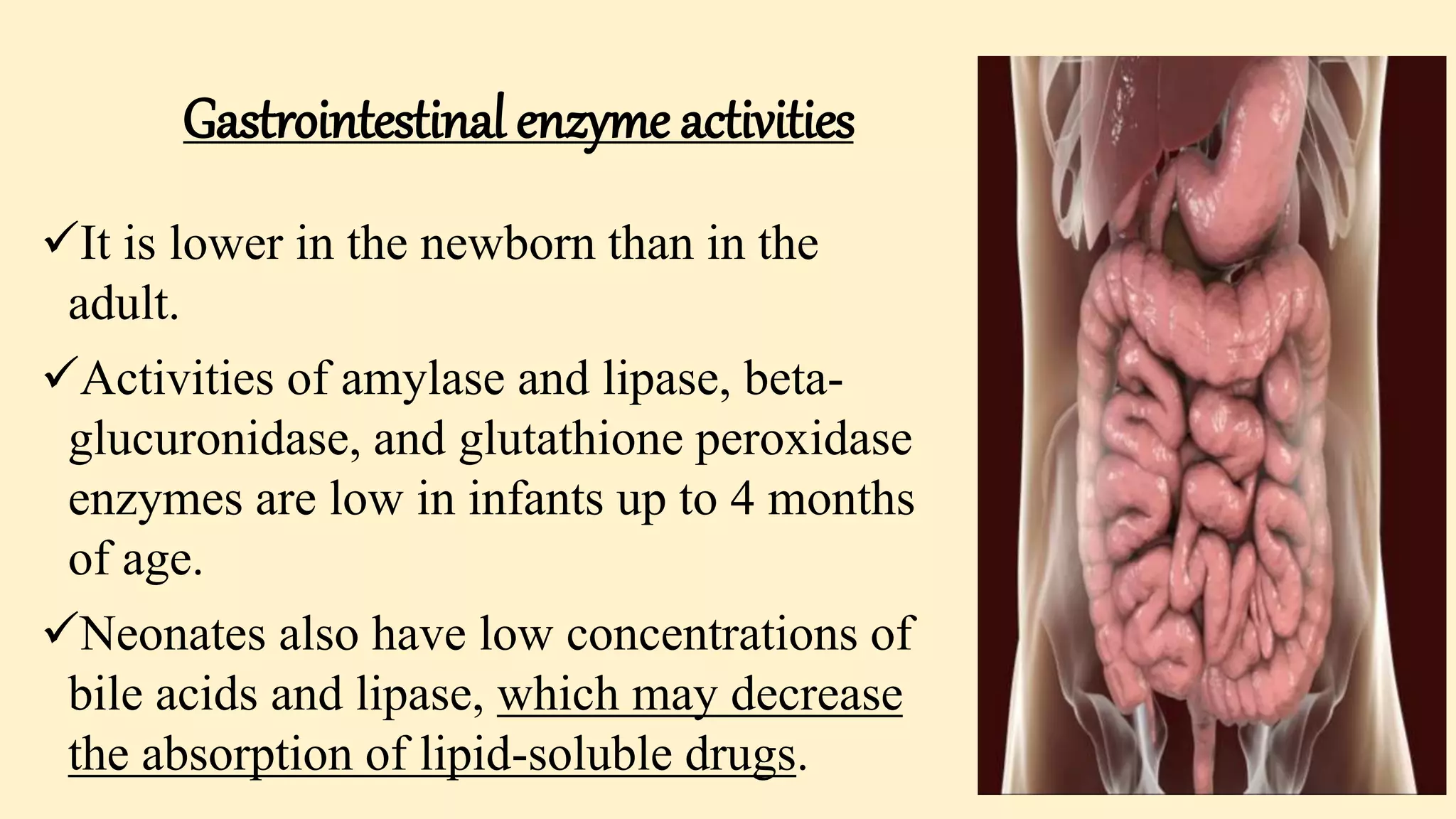 Gastrointestinal enzyme activities
It is lower in the newborn than in the
adult.
Activities of amylase and lipase, beta-
glucuronidase, and glutathione peroxidase
enzymes are low in infants up to 4 months
of age.
Neonates also have low concentrations of
bile acids and lipase, which may decrease
the absorption of lipid-soluble drugs.
 