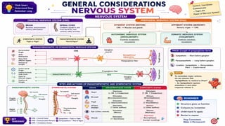 Drug Classifications with Easy Mnemonics | Pharmacology Notes | GPAT, NIPER, B.Pharm, D.Pharm, Drug Inspector