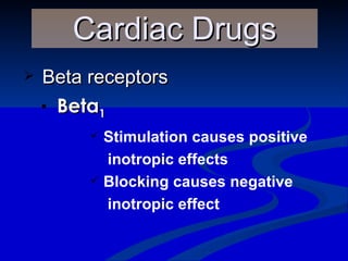 Beta receptors Beta 1 Cardiac Drugs Stimulation causes positive inotropic effects Blocking causes negative  inotropic effect 
