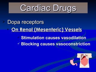 Dopa receptors On Renal (Mesenteric) Vessels Cardiac Drugs Stimulation causes vasodilation Blocking causes vasoconstriction   