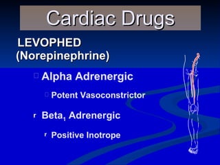 LEVOPHED (Norepinephrine) Cardiac Drugs Alpha Adrenergic Potent Vasoconstrictor Beta 1  Adrenergic Positive Inotrope 