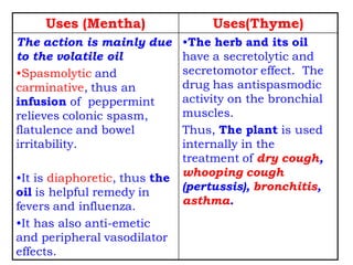 Uses(Thyme)Uses (Mentha)
•The herb and its oil
have a secretolytic and
secretomotor effect. The
drug has antispasmodic
activity on the bronchial
muscles.
Thus, The plant is used
internally in the
treatment of dry cough,
whooping cough
(pertussis), bronchitis,
asthma.
The action is mainly due
to the volatile oil
•Spasmolytic and
carminative, thus an
infusion of peppermint
relieves colonic spasm,
flatulence and bowel
irritability.
•It is diaphoretic, thus the
oil is helpful remedy in
fevers and influenza.
•It has also anti-emetic
and peripheral vasodilator
effects.
 