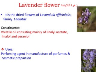 Lavender flower ‫الالوندة‬ ‫زهرة‬
• It is the dried flowers of Lavandula officinlalis,
family Labiatae
Constituents:
Volatile oil consisting mainly of linalyl acetate,
linalol and geraniol
 Uses:
Perfuming agent in manufacture of perfumes &
cosmetic prepartion
 