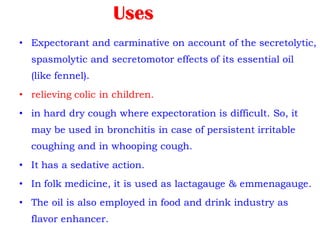 Uses
• Expectorant and carminative on account of the secretolytic,
spasmolytic and secretomotor effects of its essential oil
(like fennel).
• relieving colic in children.
• in hard dry cough where expectoration is difficult. So, it
may be used in bronchitis in case of persistent irritable
coughing and in whooping cough.
• It has a sedative action.
• In folk medicine, it is used as lactagauge & emmenagauge.
• The oil is also employed in food and drink industry as
flavor enhancer.
 