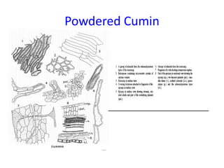 Powdered Cumin
 