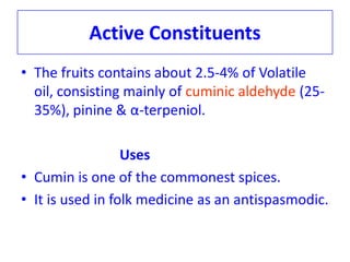 Active Constituents
• The fruits contains about 2.5-4% of Volatile
oil, consisting mainly of cuminic aldehyde (25-
35%), pinine & α-terpeniol.
Uses
• Cumin is one of the commonest spices.
• It is used in folk medicine as an antispasmodic.
 
