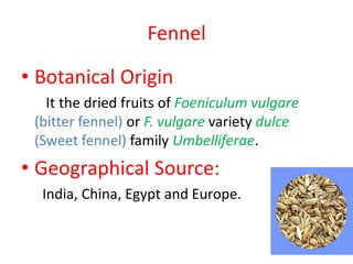 Fennel
• Botanical Origin:
It the dried fruits of Foeniculum vulgare
(bitter fennel) or F. vulgare variety dulce
(Sweet fennel) family Umbelliferae.
• Geographical Source:
India, China, Egypt and Europe.
 