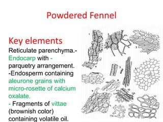 Powdered Fennel
Key elements:
-Reticulate parenchyma.
-Endocarp with
parquetry arrangement.
-Endosperm containing
aleurone grains with
micro-rosette of calcium
oxalate.
- Fragments of vittae
(brownish color)
containing volatile oil.
 