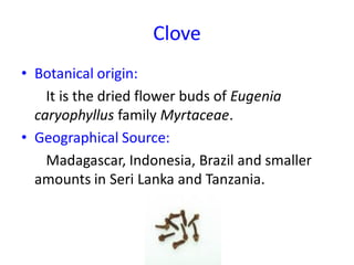 Clove
• Botanical origin:
It is the dried flower buds of Eugenia
caryophyllus family Myrtaceae.
• Geographical Source:
Madagascar, Indonesia, Brazil and smaller
amounts in Seri Lanka and Tanzania.
 