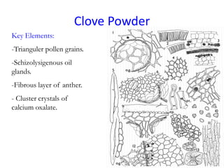 Clove Powder
Key Elements:
-Trianguler pollen grains.
-Schizolysigenous oil
glands.
-Fibrous layer of anther.
- Cluster crystals of
calcium oxalate.
 