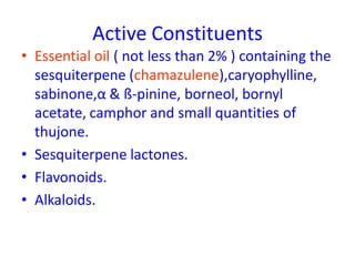 Active Constituents
• Essential oil ( not less than 2% ) containing the
sesquiterpene (chamazulene),caryophylline,
sabinone,α & ß-pinine, borneol, bornyl
acetate, camphor and small quantities of
thujone.
• Sesquiterpene lactones.
• Flavonoids.
• Alkaloids.
 