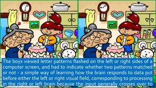 The boys viewed letter patterns flashed on the left or right sides of a
computer screen, and had to indicate whether two patterns matched
or not - a simple way of learning how the brain responds to data put
before either the left or right visual field, corresponding to processing
in the right or left brain because the input generally crosses over to
 