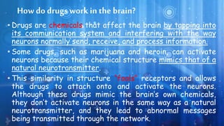 How do drugs work in the brain?
• Drugs are chemicals that affect the brain by tapping into
its communication system and interfering with the way
neurons normally send, receive, and process information.
• Some drugs, such as marijuana and heroin, can activate
neurons because their chemical structure mimics that of a
natural neurotransmitter.
• This similarity in structure “fools” receptors and allows
the drugs to attach onto and activate the neurons.
Although these drugs mimic the brain’s own chemicals,
they don’t activate neurons in the same way as a natural
neurotransmitter, and they lead to abnormal messages
being transmitted through the network.
 