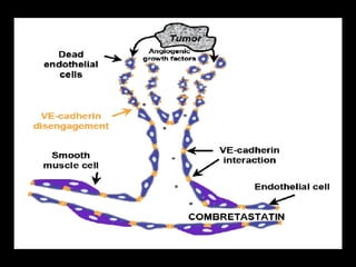 Combretastatin A4 Phosphate 