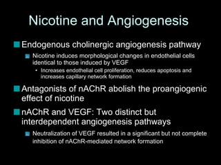 Nicotine and Angiogenesis  Endogenous cholinergic angiogenesis pathway Nicotine induces morphological changes in endothelial cells identical to those induced by VEGF  Increases endothelial cell proliferation, reduces apoptosis and increases capillary network formation  Antagonists of nAChR abolish the proangiogenic effect of nicotine  nAChR and VEGF: Two distinct but interdependent angiogenesis pathways Neutralization of VEGF resulted in a significant but not complete inhibition of nAChR-mediated network formation   