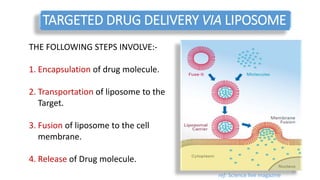 TARGETED DRUG DELIVERY VIA LIPOSOME
THE FOLLOWING STEPS INVOLVE:-
1. Encapsulation of drug molecule.
2. Transportation of liposome to the
Target.
3. Fusion of liposome to the cell
membrane.
4. Release of Drug molecule.
ref: Science live magazine
14
 