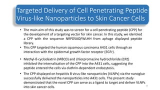 Targeted Delivery of Cell Penetrating Peptide
Virus-like Nanoparticles to Skin Cancer Cells
• The main aim of this study was to screen for a cell penetrating peptide (CPP) for
the development of a targeting vector for skin cancer. In this study, we identiied
a CPP with the sequence NRPDSAQFWLHH from aphage displayed peptide
library.
• This CPP targeted the human squamous carcinoma A431 cells through an
interaction with the epidermal growth factor receptor (EGFr).
• Methyl-ß-cyclodextrin (MßCD) and chlorpromazine hydrochloride (CPZ)
inhibited the internalisation of the CPP into the A431 cells, suggesting the
peptide entered the cells via clathrin-dependent endocytosis.
• The CPP displayed on hepatitis B virus-like nanoparticles (VLNPs) via the nanoglue
successfully delivered the nanoparticles into A431 cells. The present study
demonstrated that the novel CPP can serve as a ligand to target and deliver VLNPs
into skin cancer cells. 19
 
