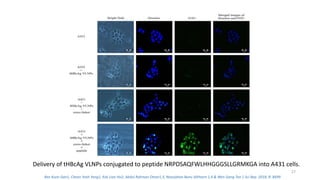 Delivery of tHBcAg VLNPs conjugated to peptide NRPDSAQFWLHHGGGSLLGRMKGA into A431 cells.
27
Bee Koon Gan1, Chean Yeah Yong1, Kok Lian Ho2, Abdul Rahman Omar1,3, Noorjahan Banu Alitheen 1,4 & Wen Siang Tan 1 Sci Rep. 2018; 8: 8499
 