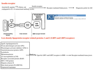 -
f
-
-
h
-
.
tyrosine. An alternative pathway is surface deiodination of the
intact peptide, possibly by ectoenzymes on the endothelial sur-
face of organ capillary beds. Evidence for this pathway is the
observation that the systemic clearance (C1, Table I) for the
125
I-bio-Ab1–40
/OX26-SA conjugate, 2.6 ml/min/kg, is approxi-
mately fourfold greater than the systemic clearance of the un-
conjugated 125
I-83-14 mAb in rhesus monkeys, 0.39–1.00 ml/
Figure 11. Scheme depicting the multifunctionality and three do-
mains of the peptide radiopharmaceutical conjugated to the BBB de-
livery system. The imaging agent is comprised of amyloid-binding do-
main, a linker domain, and a BBB transport domain, the last
constituted by the mAb to the HIR. The HIR is localized in human
brain capillary endothelium (reference 21), which forms the BBB in
vivo.
DrugTargeting of a Peptide Radiopharmaceutical through the Prima
Barrier In Vivo with a Monoclonal Antibody to the Human Insulin Re
Dafang Wu, Jing Yang, and William M. Pardridge
Department of Medicine, UCLA School of Medicine, Los Angeles, California 90095-1682
Abstract
Peptide radiopharmaceuticals are potential imaging agents
for brain disorders, should these agents be enabled to un-
dergo transport through the blood–brain barrier (BBB) in
vivo. Radiolabeled Ab1–40
images brain amyloid in tissue
sections of Alzheimer’s disease autopsy brain, but this pep-
tide radiopharmaceutical cannot be used to image brain
amyloid in vivo owing to negligible transport through the
BBB. In these studies, 125
I-Ab1–40
was monobiotinylated
(bio) and conjugated to a BBB drug delivery and brain tar-
geting system comprised of a complex of the 83-14 mono-
clonal antibody (mAb) to the human insulin receptor, which
is tagged with streptavidin (SA). A marked increase in
rhesus monkey brain uptake of the 125
I-bio-Ab1–40
was ob-
served after conjugation to the 8314-SA delivery system at
3 h after intravenous injection. In contrast, no measurable
brain uptake of 125
I-bio-Ab1–40
was observed in the absence
of a BBB drug delivery system. The peptide radiopharma-
ceutical was degraded in brain with export of the iodide ra-
dioactivity, and by 48 h after intravenous injection, 90% of
the radioactivity was cleared from the brain. In conclusion,
these studies describe a methodology for BBB drug delivery
and brain targeting of peptide radiopharmaceuticals that
could be used for imaging amyloid or other brain disorders.
(J. Clin. Invest. 1997. 100:1804–1812.) Key words: Alzhei-
mer’s disease • amyloid • monoclonal antibody • insulin re-
ceptor • avidin
Introduction
Peptide radiopharmaceuticals have potential for diagnostic im-
aging (1). The somatostatin receptor is overexpressed in cer-
tain neuroendocrine tumors, as well as brain tumors such as
meningiomas or gliomas, and 125
I- or 111
In-labeled octreotide, a
somatostatin peptide analog, has been used to image these tu-
mors (2, 3). Owing to the small size of the peptide radiophar-
maceutical, octreotide readily crosses the porous capillaries
perfusing tumors in the periphery, or certain brain tumors such
as meningiomas, which lack a bloo
However, well-differentiated gliomas
somatostatin receptors, have an intac
to image these tumors with octreotide
does not cross the BBB in vivo (5).
In addition to tumors, it should a
other medical disorders with peptid
such as amyloid. The deposition of
heimer’s disease correlates with the d
disorder (6, 7). Extracellular amyloid
comprised of two types: senile (neur
amyloid (8–12). Both types of amyloi
are comprised of a 43–amino acid am
nated Ab1–43
. There are as well Ab1–
the abnormal proteolysis of a normal
loid peptide precursor (13).
The Ab amyloid of tissue section
autopsy brain can be identified with
or with antibodies directed against
Ab1–42/43
peptide (14). However, the A
tions may also be identified in vitro
125
I-Ab1–40
, a peptide containing the f
Ab1–42/43
peptide that deposits with hi
ing Ab amyloid (15). Therefore, rad
tential peptide radiopharmaceutical
neurodiagnostic quantitation of the
Alzheimer’s disease brain of living su
ternal detection methodologies, such
computed tomography or positron
However, 125
I-Ab1–40
does not cross
vector-mediated BBB drug delivery
amyloid does not deposit in the brai
form in the brain of New World pri
(15–20 yr) squirrel monkey, as vascu
duced in the brain of Old World pr
(27–30 yr) rhesus monkey, in neuritic
These studies use 125
I-Ab1–40
adap
ery system that enables the peptide
blood to a high degree, allowing for im
of the peptide radiopharmaceutical in
(intravenous, i.v.) injection. The goa
fold: first, to prepare radiolabeled pep
jugated to the BBB delivery system;
that the deposition of 125
I-Ab1–40
on
Address correspondence to William M. Pardridge, M.D., Department
of Medicine, UCLA School of Medicine, Los Angeles, CA 90095-
1682. Phone: 310-825-8858; FAX: 310-206-5163; E-mail: wpardrid@
11/17/2015 Drug targeting of a peptide radiopharmaceutical through the primate blood-brain barrier in vivo with a monoclonal antibody to the human ins
J Clin Invest. 1997 Oct 1; 100(7): 1804–1812.
doi:  10.1172/JCI119708
PMCID: PMC508366
Drug targeting of a peptide radiopharmaceutical through the primate blood­brain
barrier in vivo with a monoclonal antibody to the human insulin receptor.
D Wu, J Yang, and W M Pardridge
Department of Medicine, UCLA School of Medicine, Los Angeles, California 90095­1682, USA.
Copyright notice
This article has been cited by other articles in PMC.
Abstract
Peptide radiopharmaceuticals are potential imaging agents for brain disorders, should these agents be enabled to
undergo transport through the blood­brain barrier (BBB) in vivo. Radiolabeled Abeta1­40 images brain amyloid
in tissue sections of Alzheimer's disease autopsy brain, but this peptide radiopharmaceutical cannot be used to
image brain amyloid in vivo owing to negligible transport through the BBB. In these studies, 125I­Abeta1­40
was monobiotinylated (bio) and conjugated to a BBB drug delivery and brain targeting system comprised of a
complex of the 83­14 monoclonal antibody (mAb) to the human insulin receptor, which is tagged with
streptavidin (SA). A marked increase in rhesus monkey brain uptake of the 125I­bio­Abeta1­40 was observed
after conjugation to the 8314­SA delivery system at 3 h after intravenous injection. In contrast, no measurable
brain uptake of 125I­bio­Abeta1­40 was observed in the absence of a BBB drug delivery system. The peptide
radiopharmaceutical was degraded in brain with export of the iodide radioactivity, and by 48 h after intravenous
injection, 90% of the radioactivity was cleared from the brain. In conclusion, these studies describe a
methodology for BBB drug delivery and brain targeting of peptide radiopharmaceuticals that could be used for
imaging amyloid or other brain disorders.
Full Text
The Full Text of this article is available as a PDF (354K).
Insulin receptor
Amyloid-β- peptide 125I-Abeta1–40
conjugated to 83–14 monoclonal antibody (mAb)
Insulin receptor
Diagnostic probe for ADReceptor mediated Endocytosis
11/17/2015 Drug targeting of a peptide radiopharmaceutical through the primate blood-brain barrier in vivo with a monoclonal antibody to the human in
J Clin Invest. 1997 Oct 1; 100(7): 1804–1812.
doi:  10.1172/JCI119708
PMCID: PMC508366
Drug targeting of a peptide radiopharmaceutical through the primate blood­brain
barrier in vivo with a monoclonal antibody to the human insulin receptor.
D Wu, J Yang, and W M Pardridge
Department of Medicine, UCLA School of Medicine, Los Angeles, California 90095­1682, USA.
Copyright notice
This article has been cited by other articles in PMC.
Abstract
Peptide radiopharmaceuticals are potential imaging agents for brain disorders, should these agents be enabled t
undergo transport through the blood­brain barrier (BBB) in vivo. Radiolabeled Abeta1­40 images brain amyloi
in tissue sections of Alzheimer's disease autopsy brain, but this peptide radiopharmaceutical cannot be used to
image brain amyloid in vivo owing to negligible transport through the BBB. In these studies, 125I­Abeta1­40
was monobiotinylated (bio) and conjugated to a BBB drug delivery and brain targeting system comprised of a
complex of the 83­14 monoclonal antibody (mAb) to the human insulin receptor, which is tagged with
streptavidin (SA). A marked increase in rhesus monkey brain uptake of the 125I­bio­Abeta1­40 was observed
after conjugation to the 8314­SA delivery system at 3 h after intravenous injection. In contrast, no measurable
brain uptake of 125I­bio­Abeta1­40 was observed in the absence of a BBB drug delivery system. The peptide
radiopharmaceutical was degraded in brain with export of the iodide radioactivity, and by 48 h after intravenou
injection, 90% of the radioactivity was cleared from the brain. In conclusion, these studies describe a
methodology for BBB drug delivery and brain targeting of peptide radiopharmaceuticals that could be used for
imaging amyloid or other brain disorders.
Full Text
The Full Text of this article is available as a PDF (354K).
Low-density lipoprotein receptor related proteins 1 and 2 (LRP1 and LRP2 receptors)
ApoE (Apolipoprotein E)
Tissue plasminogen activator (tPA)
Plasminogen activator inhibitor 1(PAI-1)
Amyloid precursor protein (APP)
Lactoferrin
Melanotransferrin
α2 macroglobulin (α2 M)
Receptor associated protein (RAP)
HIV-1 TAT protein
Heparin cofactor II
Heat shock protein 96 (HSP-96)
Engineered angiopeps
Binds to
Speciﬁc LRP1 and LRP2 receptors in BBB Receptor-mediated transcytosis
 