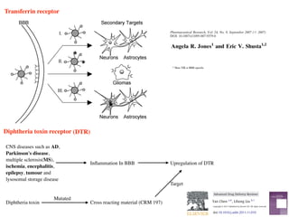 Diphtheria toxin receptor (DTR)
Transferrin receptor
Expert Review
Blood–Brain Barrier Transport of Therapeutics
Angela R. Jones1
and Eric V. Shusta1,2
Received March 29, 2007; accepted May 3, 2007; published online
Abstract. Drug delivery to the brain is hindered by the presen
Although the BBB restricts the passage of many substances, i
nutrients necessary for healthy brain function. To accomplish th
endothelium is endowed with a diverse collection of molecular
transport system, known as a receptor-mediated transcytosis (RM
machinery of the endothelium to transport substrates betwee
targeted, RMT systems can also be used to shuttle a wide rang
noninvasive manner. Over the last decade, there have been sign
RMT-based brain drug transport, and this review will focus o
validated in an in vivo setting.
KEY WORDS: antibody; blood–brain barrier; brain drug deliver
INTRODUCTION
The blood–brain barrier (BBB) provides the brain with
nutrients, prevents the introduction of harmful blood-borne
substances, and restricts the movement of ions and fluid to
ensure an optimal environment for brain function. As a
consequen
the movem
therefore
neurothera
soluble wit
penetratio
systems m
export the
many sma
pharmaceu
penetrate
Thus, alth
Pharmaceutical Research, Vol. 24, No. 9, September 2007 (# 2007)
DOI: 10.1007/s11095-007-9379-0
1
Department of Chemical and Biological Engineering, University of
Wisconsin-Madison, 1415 Engineering Drive, Madison, Wisconsin
53706, USA.
2
To whom correspondence should be addressed.(e-mail:shusta@
engr.wisc.edu)
Ex
Blood–Brain Barrier Transport of T
Angela R. Jones1
and Eric V. Shusta1,2
Received March 29, 2007; accepted May 3,
Abstract. Drug delivery to the brain is hi
Although the BBB restricts the passage o
nutrients necessary for healthy brain funct
endothelium is endowed with a diverse co
transport system, known as a receptor-med
machinery of the endothelium to transp
targeted, RMT systems can also be used
noninvasive manner. Over the last decade
RMT-based brain drug transport, and th
validated in an in vivo setting.
KEY WORDS: antibody; blood–brain barr
INTRODUCTION
The blood–brain barrier (BBB) provides the brai
nutrients, prevents the introduction of harmful blood-
substances, and restricts the movement of ions and fl
ensure an optimal environment for brain function.
1
Department of Chemical and Biological Engineering, Unive
Wisconsin-Madison, 1415 Engineering Drive, Madison, Wi
53706, USA.
2
To whom correspondence should be addressed.(e-mail:s
* Here TfR is BBB speciﬁc
CNS diseases such as AD,
Parkinson's disease,
multiple sclerosis(MS),
ischemia, encephalitis,
epilepsy, tumour and
lysosomal storage disease
Inﬂammation In BBB Upregulation of DTR
Diphtheria toxin
Mutated
Cross reacting material (CRM 197)
TargetAdvanced Drug Delivery Reviews 64 (2012) 640–665
Contents lists available at SciVerse ScienceDirect
Advanced Drug Delivery Reviews
journal homepage: www.elsevier.com/locate/addr
Accepted 21 November 2011
Available online 28 November 2011
Keywords:
Blood–brain barrier
Drug delivery
Receptor-mediated transport
Cell-mediated transport
Nanoparticles
Liposomes
Pathological conditions
Contents
1. Introduction . . . . . . . . . . . . .
2. Physiology and biology of the blood–brain
3. Transport routes across the blood–brain b
4. Biological and pathological properties of B
4.1. Physical barrier . . . . . . . .
Abbreviations: a2M, alpha-2 macroglobulin; Aβ, amy
AMT, adsorptive-mediated transport; AMP, adenosine m
precursor protein; ApoE, Apolipoprotein E; ATP, adenosi
serum albumin conjugated nanoparticles; cAMP, cyclic
diffusion; CHP, hydrophobic cholesterol groups; CMC, c
CRM, cross reacting material; CSF, cerebrospinal ﬂuid; D
EC, endothelial cell; EMF, electromagnetic ﬁelds; FBP, fu
mal growth factor; HIRMAb, human insulin receptor mo
min; HSP-96, heat shock protein 96; HUVEC, human u
interleukin; INF, interferon; JAM, junction adhesion m
vesicles; LPA, lysophosphatidic acid; LRP, lipoprotein rec
MCP, monocyte chemotactic protein; MHC, major hist
tein; MS, multiple sclerosis; NOS, nitric oxide synth
PHDCA, poly(hexadecylcyanoacrylate); PBCA, poly(b
methionyl human granulocyted colony stimulating fa
PKG, protein kinase G; PLGA, poly(D,L-lactide-co-glyco
receptor associated protein; RES, reticuloendothelial
acid residue; SBP, sequence signal-based peptide; SUV, sm
electrical resistance; TfR, transferrin receptor; TJ, tight ju
growth factor; ZO, zonula occludens.
☆ This review is part of the Advanced Drug Delivery R
⁎ Corresponding author at: School of Pharmacy, Curt
E-mail address: y.chen@curtin.edu.au (Y. Chen).
1
L Liu is currently funded as an Australian Postdocto
0169-409X/$ – see front matter. Crown Copyright © 20
doi:10.1016/j.addr.2011.11.010
Modern methods for delivery of drugs across the blood–brain
Yan Chen a,
⁎, Lihong Liu b,1
a
School of Pharmacy, CHIRI, WABRI, Curtin University, GPO Box U1987, Perth, Western Australia 6845, Australia
b
Institute of Bioengineering and Nanotechnology, 31 Biopolis Way, Singapore 138669, Singapore
a b s t r a c ta r t i c l e i n f o
Article history:
Received 6 August 2011
Accepted 21 November 2011
Available online 28 November 2011
Keywords:
Blood–brain barrier
Drug delivery
Receptor-mediated transport
Cell-mediated transport
Nanoparticles
Liposomes
Pathological conditions
The blood–brain barrier (BBB) is a highly regulated and efﬁcient
brain. It is designed to regulate brain homeostasis and to permit se
sential for brain function. Unfortunately, drug transport to the brain
highly selective and well coordinated barrier. With progress in mo
stood, particularly under different pathological conditions. This re
biological and pathological perspective to provide a better insight
ciated with the BBB. Modern methods which can take advantage
Applications of nanotechnology in drug transport, receptor-medi
cell-mediated drug transport will also be covered in the review. The
apy to the brain is formidable; solutions will likely involve concert
into account BBB biology as well as the unique features associat
treated.
Crown Copyright © 2011 Pub
Contents
1. Introduction . . . . . . . . . . . . . . . . . . . . . . . . . . . . . . . . . . . . . . . . . . . . .
2. Physiology and biology of the blood–brain barrier . . . . . . . . . . . . . . . . . . . . . . . . . . .
3. Transport routes across the blood–brain barrier . . . . . . . . . . . . . . . . . . . . . . . . . . . .
4. Biological and pathological properties of BBB for drug transport . . . . . . . . . . . . . . . . . . . . .
4.1. Physical barrier . . . . . . . . . . . . . . . . . . . . . . . . . . . . . . . . . . . . . . . .
Advanced Drug Delivery Reviews 64 (2012) 640–665
Abbreviations: a2M, alpha-2 macroglobulin; Aβ, amyloid β; ABC, ATP binding cassette; AD, Alzheimer's disease; AIDS, autoimmu
AMT, adsorptive-mediated transport; AMP, adenosine monophosphate; ANG1005, angiopep 2 conjugated with 3 molecules of pacl
precursor protein; ApoE, Apolipoprotein E; ATP, adenosine triphosphate; AUC, area under curve; BBB, blood–brain barrier; BCSFB, blo
serum albumin conjugated nanoparticles; cAMP, cyclic AMP; CBSA, cationic bovine serum albumin; CBSA-NP, CBSA conjugated PEG
diffusion; CHP, hydrophobic cholesterol groups; CMC, critical micelle concentration; CMT, carrier-mediated transport; CNS, central
CRM, cross reacting material; CSF, cerebrospinal ﬂuid; DT, diphtheria toxin; DTR, diphtheria toxin receptor; EAE, experimental autoim
EC, endothelial cell; EMF, electromagnetic ﬁelds; FBP, fusion sequence-based peptide; g7, similopioid peptide; GMP, guanosine mon
mal growth factor; HIRMAb, human insulin receptor monoclonal antibody; HIV, human immunodeﬁciency virus; HLB, hydrophobic–
min; HSP-96, heat shock protein 96; HUVEC, human umbilical vein endothelial cells; ICH, intercerebral haemorrhage; ICV, intrac
interleukin; INF, interferon; JAM, junction adhesion molecules; LDL, low density lipoprotein; LDLR, low density lipoprotein rece
vesicles; LPA, lysophosphatidic acid; LRP, lipoprotein receptor protein; LUV, large unilamellar vesicles; MAP, model amphipathic pep
MCP, monocyte chemotactic protein; MHC, major histocompatibility complex; MLCK, myosin light chain kinase; MP, mononucle
tein; MS, multiple sclerosis; NOS, nitric oxide syntheses; NP, nanoparticles; NVU, neurovascular unit; P97, melanotransferri
PHDCA, poly(hexadecylcyanoacrylate); PBCA, poly(butylcyanoacrylate); PEG, polyethylene glycol; PEG-PCL, PEG-polycapro
methionyl human granulocyted colony stimulating factor; PEG-PLA, polyethylene glycol-polylactic acid; P-gp, P-glycoprotein;
PKG, protein kinase G; PLGA, poly(D,L-lactide-co-glycolide); PO, propylene oxide; PTD, protein transduction domain; PTK, protei
receptor associated protein; RES, reticuloendothelial system; REV, reverse phase evaporation vesicles; RMT, receptor-mediate
acid residue; SBP, sequence signal-based peptide; SUV, small unilamellar vesicles; TAT, HIV-1 trans-activating transcriptor; TEM, transmi
electrical resistance; TfR, transferrin receptor; TJ, tight junction; TNF, tumour necrosis factors; tPA, tissue plasminogen activator; VE, v
growth factor; ZO, zonula occludens.
☆ This review is part of the Advanced Drug Delivery Reviews theme issue on “Delivery of Therapeutics to the Central Nervous Syst
⁎ Corresponding author at: School of Pharmacy, Curtin University, GPO Box U1987, Perth, Western Australia 6845, Australia. Tel.
E-mail address: y.chen@curtin.edu.au (Y. Chen).
1
L Liu is currently funded as an Australian Postdoctoral Fellow by ARC Discovery Project DP110104599 at Chemical Engineering
0169-409X/$ – see front matter. Crown Copyright © 2011 Published by Elsevier B.V. All rights reserved.
doi:10.1016/j.addr.2011.11.010
Contents lists available at SciVerse ScienceDirect
Advanced Drug Delivery Reviews
journal homepage: www.elsevier.com/locate/addr
Modern methods for delivery of drugs across the blood–brain barrier☆
Yan Chen a,
⁎, Lihong Liu b,1
Advanced Drug Delivery Reviews 64 (2012) 640–665
Contents lists available at SciVerse ScienceDirect
Advanced Drug Delivery Reviews
journal homepage: www.elsevier.com/locate/addr
Advanced Drug Delivery Reviews
Contents lists available at SciV
Advanced Drug Deli
journal homepage: www.else
Modern methods for delivery of drugs
Yan Chen a,
⁎, Lihong Liu b,1
a
School of Pharmacy, CHIRI, WABRI, Curtin University, GPO Box U1987, Perth, Weste
b
Institute of Bioengineering and Nanotechnology, 31 Biopolis Way, Singapore 13866
Advanced Drug Del
Contents lists avai
Advanced Dru
journal homepage: w
 