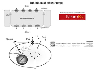 Inhibition of efﬂux Pumps
11/17/2015 PubMed Central, FIG. 1.: NeuroRx. 2005 Jan; 2(1): 86–98. doi:  10.1602/neurorx.2.1.86
<< Prev FIG. 1PMC full text: NeuroRx. 2005 Jan; 2(1): 86–98.
doi:  10.1602/neurorx.2.1.86
Copyright/License ► Request permission to reuse
FIG. 1.
Localization of selected drug efflux proteins on brain capillary endothelial cells that form the bloo
barrier. Only transporters that are localized on the apical (luminal) side of the brain capillary endot
would be in a position to restrict brain uptake of xenobiotics. Note that the exact localization in en
cells has not been demonstrated as yet for all transporters shown in the figure, but for some of the
transporters the localization (apical vs basolateral) was derived from studies on polarized epithelia
lines.6
Blood-Brain Barrier Active Efﬂux Transporters: ATP-B
Cassette Gene Family
Wolfgang Lo¨scher and Heidrun Potschka
Department of Pharmacology, Toxicology, and Pharmacy, University of Veterinary Medicine Hanno
Hannover D-30559, Germany
Summary: The blood-brain barrier (BBB) contributes to brain
homeostasis by protecting the brain from potentially harmful
endogenous and exogenous substances. BBB active drug efﬂux
transporters of the ATP-binding cassette (ABC) gene family
are increasingly recognized as important determinants of drug
distribution to, and elimination from, the CNS. The ABC efﬂux
transporter P-glycoprotein (Pgp) has been demonstrated as a
key element of the BBB that can actively transport a huge
variety of lipophilic drugs out of the brain capillary endothelial
cells that form the BBB. In addition to Pgp, other ABC efﬂux
transporters such as members of the multidrug resistance pro-
tein (MRP) family and breast cancer resistance protein (BCRP)
seem to contribute to BBB function. Consequences of ABC
efﬂux transporters in the BBB include minimi
neurotoxic adverse effects of drugs that other
etrate into the brain. However, ABC efﬂux t
also limit the central distribution of drugs that
treat CNS diseases. Furthermore, neurologica
as epilepsy may be associated with overexp
efﬂux transporters at the BBB, resulting in pha
to therapeutic medication. Therefore, modula
ﬂux transporters at the BBB forms a novel str
the penetration of drugs into the brain and
therapeutic options for drug-resistant CNS
Words: P-glycoprotein, multidrug resistanc
lepsy, antiepileptic drugs, depression, AIDS.
INTRODUCTION
ATP-binding cassette (ABC) transporters are multido-
main integral membrane proteins that use the energy of
ATP hydrolysis to translocate solutes across cellular
membranes in all mammalian species.1
ABC transporters
form one of the largest of all protein families and are
central to many important biomedical phenomena, in-
cluding resistance of cancers and pathogenic microbes to
drugs.2
Elucidation of the structure and function of ABC
transporters is essential to the rational design of agents to
control their function.
ABC transporters are increasingly recognized to be
important for drug disposition and response.3–7
P-glyco-
protein (Pgp), the encoded product of the human multi-
drug resistance (MDR1) (ABCB1) gene, is of particular
clinical relevance in that this transporter has a broad
pression of this efﬂux transporter in certa
partments such as the gastrointestinal t
capillary endothelial cells limits oral absor
entry of many drugs.7
The use of Pgp-e
lines, the generation of Pgp knockout m
studies using Pgp inhibitors in animals, c
better understanding on the role of active
cesses for drug disposition.8
In addition to
transporters of the multidrug resistance
ABCC) family and the breast cancer res
(BCRP; ABCG2) have a role in drug disp
family of mammalian ABC transporters,
more extensive, and functionally highly d
review, we limit ourselves to the followi
porters: Pgp, MRPs 1-6, and BCRP, i.e., A
ers that are expressed at the blood-brain
and, particularly Pgp, are involved in th
Advanced Drug Delivery Reviews 55 (2003) 151–164
www.elsevier.com/loc

Pluronic block copolymers as modulators of drug efﬂ
transporter activity in the blood–brain barrier
*Alexander V. Kabanov , Elena V. Batrakova, Donald W. Miller
Department of Pharmaceutical Sciences, University of Nebraska Medical Center, 986025 Nebraska Medical Center, Omah
USA
Received 6 July 2002; accepted 11 August 2002
Advanced Drug Delivery Reviews 55 (2003) 151–164
www.elsevier.com/locate/drugdeliv

Pluronic block copolymers as modulators of drug efﬂux
transporter activity in the blood–brain barrier
*Alexander V. Kabanov , Elena V. Batrakova, Donald W. Miller
Department of Pharmaceutical Sciences, University of Nebraska Medical Center, 986025 Nebraska Medical Center, Omaha, NE 68198,
USA
Received 6 July 2002; accepted 11 August 2002
Abstract
Drug efﬂux transporters can inﬂuence the absorption, tissue distribution and elimination of many therapeutic agents.
Modulation of drug efﬂux transporter activity is being explored as a means for improving the pharmacokinetic and
pharmacodynamic properties of various drugs. In this regard, several polymer formulations have been shown to inhibit drug

efﬂux transporters such as P-glycoprotein (P-gp). The current review will focus on Pluronic block copolymers in particular,

the mechanisms involved in the effects of Pluronic on drug efﬂux transporters, and the optimal polymer compositions

required for inhibition of drug efﬂux transporters. Special emphasis will be placed on the potential applications of Pluronic
Advanced Drug Delivery Reviews 55 (2003) 151–164
www.elsevier.com/locate/drugdeliv

Pluronic block copolymers as modulators of drug efﬂux
transporter activity in the blood–brain barrier
*Alexander V. Kabanov , Elena V. Batrakova, Donald W. Miller
Department of Pharmaceutical Sciences, University of Nebraska Medical Center, 986025 Nebraska Medical Center, Omaha, NE 68198,
USA
Received 6 July 2002; accepted 11 August 2002
Abstract
Drug efﬂux transporters can inﬂuence the absorption, tissue distribution and elimination of many therapeutic agents.
Modulation of drug efﬂux transporter activity is being explored as a means for improving the pharmacokinetic and
pharmacodynamic properties of various drugs. In this regard, several polymer formulations have been shown to inhibit drug

efﬂux transporters such as P-glycoprotein (P-gp). The current review will focus on Pluronic block copolymers in particular,

the mechanisms involved in the effects of Pluronic on drug efﬂux transporters, and the optimal polymer compositions

required for inhibition of drug efﬂux transporters. Special emphasis will be placed on the potential applications of Pluronic
in enhancing the blood–brain barrier (BBB) penetration of drugs.
 2002 Elsevier Science B.V. All rights reserved.
Keywords: Blood–brain barrier; Multidrug resistance (MDR); P-glycoprotein; Multidrug resistant protein (MRP); Block copolymer
Advanced Drug Delivery Reviews 55 (2003) 151–164
www.elsevier.com/locate/drugdeliv

Pluronic block copolymers as modulators of drug efﬂux
transporter activity in the blood–brain barrier
*Alexander V. Kabanov , Elena V. Batrakova, Donald W. Miller
Department of Pharmaceutical Sciences, University of Nebraska Medical Center, 986025 Nebraska Medical Center, Omaha, NE 68198,
USA
Received 6 July 2002; accepted 11 August 2002
Abstract
Drug efﬂux transporters can inﬂuence the absorption, tissue distribution and elimination of many therapeutic agents.
Modulation of drug efﬂux transporter activity is being explored as a means for improving the pharmacokinetic and
pharmacodynamic properties of various drugs. In this regard, several polymer formulations have been shown to inhibit drug

efﬂux transporters such as P-glycoprotein (P-gp). The current review will focus on Pluronic block copolymers in particular,

the mechanisms involved in the effects of Pluronic on drug efﬂux transporters, and the optimal polymer compositions

required for inhibition of drug efﬂux transporters. Special emphasis will be placed on the potential applications of Pluronic
in enhancing the blood–brain barrier (BBB) penetration of drugs.
 2002 Elsevier Science B.V. All rights reserved.
Keywords: Blood–brain barrier; Multidrug resistance (MDR); P-glycoprotein; Multidrug resistant protein (MRP); Block copolymer
Contents
1. Introduction ............................................................................................................................................................................ 151

2. Overview of Pluronic block copolymers in pharmaceutics........................................................................................................ 152

3. Pluronic block copolymers in drug resistant cancer.................................................................................................................. 152

4. Effects of Pluronic on P-gp activity in the blood–brain barrier.................................................................................................. 154

5. Mechanism of Pluronic -induced inhibition of P-gp in brain endothelial cells ............................................................................. 155
 