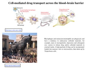 Cell-mediated drug transport across the blood–brain barrier
pharmacy.sites.unc.edu/
troy-movie.stasi.co.uk
Macrophages and monocytes/neutrophils are phagocytic and
have a tendency to endocytose colloidal materials, for
example, nano or microparticles, liposomes and subsequent
exo- cytosis to release drug and/or colloidal materials to
external media. A high payload of drug can be incorporated/
loaded into nanocar- riers or microcarriers, then taken up by
Trojan horse cells .
 
