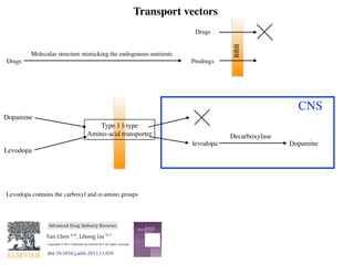 Transport vectors
Drugs
Molecular structure mimicking the endogenous nutrients
Prodrugs
BBB
Drugs
dvanced Drug Delivery Reviews 64 (2012) 640–665
ents lists available at SciVerse ScienceDirect
nced Drug Delivery Reviews
omepage: www.elsevier.com/locate/addr
Crown Copyright © 2011 Published by Else
Contents
1. Introduction . . . . . . . . . . . . . . . . . . . . . . . . . . . . . . . . . . . . . . . . . . . . . . . . . . .
2. Physiology and biology of the blood–brain barrier . . . . . . . . . . . . . . . . . . . . . . . . . . . . . . . . .
3. Transport routes across the blood–brain barrier . . . . . . . . . . . . . . . . . . . . . . . . . . . . . . . . . .
4. Biological and pathological properties of BBB for drug transport . . . . . . . . . . . . . . . . . . . . . . . . . . .
4.1. Physical barrier . . . . . . . . . . . . . . . . . . . . . . . . . . . . . . . . . . . . . . . . . . . . . .
Abbreviations: a2M, alpha-2 macroglobulin; Aβ, amyloid β; ABC, ATP binding cassette; AD, Alzheimer's disease; AIDS, autoimmunodeﬁciency sy
AMT, adsorptive-mediated transport; AMP, adenosine monophosphate; ANG1005, angiopep 2 conjugated with 3 molecules of paclitaxel; Antp, A
precursor protein; ApoE, Apolipoprotein E; ATP, adenosine triphosphate; AUC, area under curve; BBB, blood–brain barrier; BCSFB, blood–cerebrospi
serum albumin conjugated nanoparticles; cAMP, cyclic AMP; CBSA, cationic bovine serum albumin; CBSA-NP, CBSA conjugated PEG-PLA nanopart
diffusion; CHP, hydrophobic cholesterol groups; CMC, critical micelle concentration; CMT, carrier-mediated transport; CNS, central nervous system
CRM, cross reacting material; CSF, cerebrospinal ﬂuid; DT, diphtheria toxin; DTR, diphtheria toxin receptor; EAE, experimental autoimmune enceph
EC, endothelial cell; EMF, electromagnetic ﬁelds; FBP, fusion sequence-based peptide; g7, similopioid peptide; GMP, guanosine monophosphate; H
mal growth factor; HIRMAb, human insulin receptor monoclonal antibody; HIV, human immunodeﬁciency virus; HLB, hydrophobic–hydrophilic ba
min; HSP-96, heat shock protein 96; HUVEC, human umbilical vein endothelial cells; ICH, intercerebral haemorrhage; ICV, intracerebroventricu
interleukin; INF, interferon; JAM, junction adhesion molecules; LDL, low density lipoprotein; LDLR, low density lipoprotein receptor; Lf, lactof
vesicles; LPA, lysophosphatidic acid; LRP, lipoprotein receptor protein; LUV, large unilamellar vesicles; MAP, model amphipathic peptide; MAPK, m
MCP, monocyte chemotactic protein; MHC, major histocompatibility complex; MLCK, myosin light chain kinase; MP, mononuclear phagocytes
tein; MS, multiple sclerosis; NOS, nitric oxide syntheses; NP, nanoparticles; NVU, neurovascular unit; P97, melanotransferrin; PAI-1, plas
PHDCA, poly(hexadecylcyanoacrylate); PBCA, poly(butylcyanoacrylate); PEG, polyethylene glycol; PEG-PCL, PEG-polycaprolactone; PEG-
methionyl human granulocyted colony stimulating factor; PEG-PLA, polyethylene glycol-polylactic acid; P-gp, P-glycoprotein; PKA, protein k
PKG, protein kinase G; PLGA, poly(D,L-lactide-co-glycolide); PO, propylene oxide; PTD, protein transduction domain; PTK, protein tyrosine kin
receptor associated protein; RES, reticuloendothelial system; REV, reverse phase evaporation vesicles; RMT, receptor-mediated transport; R
acid residue; SBP, sequence signal-based peptide; SUV, small unilamellar vesicles; TAT, HIV-1 trans-activating transcriptor; TEM, transmission electron m
electrical resistance; TfR, transferrin receptor; TJ, tight junction; TNF, tumour necrosis factors; tPA, tissue plasminogen activator; VE, vascular endoth
growth factor; ZO, zonula occludens.
☆ This review is part of the Advanced Drug Delivery Reviews theme issue on “Delivery of Therapeutics to the Central Nervous System”.
⁎ Corresponding author at: School of Pharmacy, Curtin University, GPO Box U1987, Perth, Western Australia 6845, Australia. Tel.: +61 8 9266 2
E-mail address: y.chen@curtin.edu.au (Y. Chen).
1
L Liu is currently funded as an Australian Postdoctoral Fellow by ARC Discovery Project DP110104599 at Chemical Engineering, Curtin Univer
0169-409X/$ – see front matter. Crown Copyright © 2011 Published by Elsevier B.V. All rights reserved.
doi:10.1016/j.addr.2011.11.010
an Chen a,
⁎, Lihong Liu b,1
chool of Pharmacy, CHIRI, WABRI, Curtin University, GPO Box U1987, Perth, Western Australia 6845, Australia
nstitute of Bioengineering and Nanotechnology, 31 Biopolis Way, Singapore 138669, Singapore
a b s t r a c tr t i c l e i n f o
icle history:
ceived 6 August 2011
cepted 21 November 2011
ailable online 28 November 2011
ywords:
ood–brain barrier
ug delivery
ceptor-mediated transport
ll-mediated transport
noparticles
osomes
thological conditions
The blood–brain barrier (BBB) is a highly regulated and efﬁcient barrier that provides a sanctuary to the
brain. It is designed to regulate brain homeostasis and to permit selective transport of molecules that are es-
sential for brain function. Unfortunately, drug transport to the brain is hampered by this almost impermeable,
highly selective and well coordinated barrier. With progress in molecular biology, the BBB is better under-
stood, particularly under different pathological conditions. This review will discuss the barrier issue from a
biological and pathological perspective to provide a better insight to the challenges and opportunities asso-
ciated with the BBB. Modern methods which can take advantage of these opportunities will be reviewed.
Applications of nanotechnology in drug transport, receptor-mediated targeting and transport, and ﬁnally
cell-mediated drug transport will also be covered in the review. The challenge of delivering an effective ther-
apy to the brain is formidable; solutions will likely involve concerted multidisciplinary approaches that take
into account BBB biology as well as the unique features associated with the pathological condition to be
treated.
Crown Copyright © 2011 Published by Elsevier B.V. All rights reserved.
ntents
1. Introduction . . . . . . . . . . . . . . . . . . . . . . . . . . . . . . . . . . . . . . . . . . . . . . . . . . . . . . . . . . . . . . 641
2. Physiology and biology of the blood–brain barrier . . . . . . . . . . . . . . . . . . . . . . . . . . . . . . . . . . . . . . . . . . . . 641
3. Transport routes across the blood–brain barrier . . . . . . . . . . . . . . . . . . . . . . . . . . . . . . . . . . . . . . . . . . . . . 642
4. Biological and pathological properties of BBB for drug transport . . . . . . . . . . . . . . . . . . . . . . . . . . . . . . . . . . . . . . 643
4.1. Physical barrier . . . . . . . . . . . . . . . . . . . . . . . . . . . . . . . . . . . . . . . . . . . . . . . . . . . . . . . . . 643
Abbreviations: a2M, alpha-2 macroglobulin; Aβ, amyloid β; ABC, ATP binding cassette; AD, Alzheimer's disease; AIDS, autoimmunodeﬁciency syndrome; AJ, adherens junction;
MT, adsorptive-mediated transport; AMP, adenosine monophosphate; ANG1005, angiopep 2 conjugated with 3 molecules of paclitaxel; Antp, Antennapedia; APP, amyloid beta
ecursor protein; ApoE, Apolipoprotein E; ATP, adenosine triphosphate; AUC, area under curve; BBB, blood–brain barrier; BCSFB, blood–cerebrospinal ﬂuid barrier; BSA-NP, bovine
um albumin conjugated nanoparticles; cAMP, cyclic AMP; CBSA, cationic bovine serum albumin; CBSA-NP, CBSA conjugated PEG-PLA nanoparticles; CED, convection enhanced
fusion; CHP, hydrophobic cholesterol groups; CMC, critical micelle concentration; CMT, carrier-mediated transport; CNS, central nervous system; CPP, cell penetrating peptide;
M, cross reacting material; CSF, cerebrospinal ﬂuid; DT, diphtheria toxin; DTR, diphtheria toxin receptor; EAE, experimental autoimmune encephalomyelitis; EO, ethylene oxide;
endothelial cell; EMF, electromagnetic ﬁelds; FBP, fusion sequence-based peptide; g7, similopioid peptide; GMP, guanosine monophosphate; HB-EGF, heparin binding epider-
al growth factor; HIRMAb, human insulin receptor monoclonal antibody; HIV, human immunodeﬁciency virus; HLB, hydrophobic–hydrophilic balance; HSA, human serum albu-
n; HSP-96, heat shock protein 96; HUVEC, human umbilical vein endothelial cells; ICH, intercerebral haemorrhage; ICV, intracerebroventricular; IgG, immunoglobulin G; IL,
erleukin; INF, interferon; JAM, junction adhesion molecules; LDL, low density lipoprotein; LDLR, low density lipoprotein receptor; Lf, lactoferrin; LMV, large multilamellar
sicles; LPA, lysophosphatidic acid; LRP, lipoprotein receptor protein; LUV, large unilamellar vesicles; MAP, model amphipathic peptide; MAPK, mitogen activated protein kinase;
CP, monocyte chemotactic protein; MHC, major histocompatibility complex; MLCK, myosin light chain kinase; MP, mononuclear phagocytes; MRP, multidrug resistant pro-
n; MS, multiple sclerosis; NOS, nitric oxide syntheses; NP, nanoparticles; NVU, neurovascular unit; P97, melanotransferrin; PAI-1, plasminogen activator inhibitor 1;
DCA, poly(hexadecylcyanoacrylate); PBCA, poly(butylcyanoacrylate); PEG, polyethylene glycol; PEG-PCL, PEG-polycaprolactone; PEG-G-CSF, PEGylated-recombinant
ethionyl human granulocyted colony stimulating factor; PEG-PLA, polyethylene glycol-polylactic acid; P-gp, P-glycoprotein; PKA, protein kinase A; PKC, protein kinase C;
G, protein kinase G; PLGA, poly(D,L-lactide-co-glycolide); PO, propylene oxide; PTD, protein transduction domain; PTK, protein tyrosine kinase; Qdots, quantum dots; RAP,
ceptor associated protein; RES, reticuloendothelial system; REV, reverse phase evaporation vesicles; RMT, receptor-mediated transport; R123, rhodamine 123; SA, sialic
d residue; SBP, sequence signal-based peptide; SUV, small unilamellar vesicles; TAT, HIV-1 trans-activating transcriptor; TEM, transmission electron microscopy; TER, transendothelial
ctrical resistance; TfR, transferrin receptor; TJ, tight junction; TNF, tumour necrosis factors; tPA, tissue plasminogen activator; VE, vascular endothelial; VEGF, vascular endothelial
owth factor; ZO, zonula occludens.
This review is part of the Advanced Drug Delivery Reviews theme issue on “Delivery of Therapeutics to the Central Nervous System”.
Corresponding author at: School of Pharmacy, Curtin University, GPO Box U1987, Perth, Western Australia 6845, Australia. Tel.: +61 8 9266 2738; fax. +61 89266 2769.
E-mail address: y.chen@curtin.edu.au (Y. Chen).
L Liu is currently funded as an Australian Postdoctoral Fellow by ARC Discovery Project DP110104599 at Chemical Engineering, Curtin University.
69-409X/$ – see front matter. Crown Copyright © 2011 Published by Elsevier B.V. All rights reserved.
i:10.1016/j.addr.2011.11.010
Modern methods for delivery of drugs across the blood–brain barrier☆
Yan Chen a,
⁎, Lihong Liu b,1
a
School of Pharmacy, CHIRI, WABRI, Curtin University, GPO Box U1987, Perth, Western Australia 6845, Australia
Advanced Drug Delivery Reviews 64 (2012) 640–665
Contents lists available at SciVerse ScienceDirect
Advanced Drug Delivery Reviews
journal homepage: www.elsevier.com/locate/addr
Advanced Drug Delivery Reviews 64 (2012) 640–665
Contents lists available at SciVerse ScienceDirect
Advanced Drug Delivery Reviews
journal homepage: www.elsevier.com/locate/addr
Modern methods for delivery of drugs across the blood–brain barrier☆
Yan Chen a,
⁎, Lihong Liu b,1
a
School of Pharmacy, CHIRI, WABRI, Curtin University, GPO Box U1987, Perth, Western Australia 6845, Australia
b
Institute of Bioengineering and Nanotechnology, 31 Biopolis Way, Singapore 138669, Singapore
Advanced Drug Delivery Reviews 64 (2012) 640–665
Contents lists available at SciVerse ScienceDirect
Advanced Drug Delivery Reviews
journal homepage: www.elsevier.com/locate/addr
Dopamine
Levodopa
Dopaminelevodopa
Decarboxylase
CNS
Type 1 l-type
Amino-acid transporter
Levodopa contains the carboxyl and α-amino groups
 