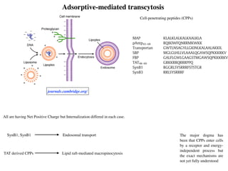 Adsorptive-mediated transcytosis
journals.cambridge.org/
Cell-penetrating peptides (CPPs)
The application of CPPs is based on the prem
active cargo can be attached to CPPs and translo
link between the CPPs and cargo is most comm
and seldom in non-covalent bond. A large va
cules/materials have been effectively delivered i
cluding small molecules, proteins, peptides,
liposomes and nanoparticles [204]. Some can ent
dothelia cells or are even translocated into the br
amples are highlighted here.
Table 3
Principle features of the selected cell penetrating peptides (
Peptide name Sequence
MAP KLALKLALKALKAALKLA
pAntp43–68 RQIKIWFQNRRMKWKK
Transportan GWTLNSAGYLLGKINLKALAALAKKIL
SBP MGLGLHLLVLAAALQGAWSQPKKKRKV
FBP GALFLGWLGAAGSTMGAWSQPKKKRKV
TAT48–60 GRKKRRQRRRPPQ
SynB1 RGGRLSYSRRRFSTSTGR
SynB3 RRLSYSRRRF
MAP: model amphipathic peptide; Antp: Antennapedia; SB
peptide; FBP, fusion sequence-based peptide; TAT, HIV-1 tra
The peptide residues in this table are expressed with one-
leucine; A—alanine; R—arginines; Q—glutamine; I—isoleu
phenylalanine; N—asparagine; M—methionine; G—glycines; S
was collected from references [204,206,221,222,312–314].
654 Y. Ch
The major dogma has
been that CPPs enter cells
by a receptor and energy-
independent process but
the exact mechanisms are
not yet fully understood
SynB1, SynB1
TAT derived CPPs Lipid raft-mediated macropinocytosis
Endosomal transport
All are having Net Positive Charge but Internalization differed in each case.
 