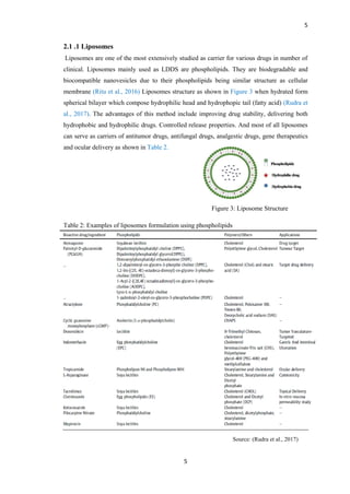 Drug delivery nanocarriers | PDF