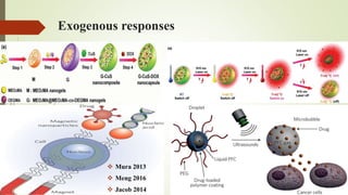 Exogenous responses
 Mura 2013
 Meng 2016
 Jacob 2014
 