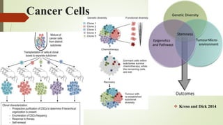 Cancer Cells
 Kreso and Dick 2014
 