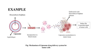 Liposome
Doxorubicin Sulphate
Lipid bilayer
Incorporation in
blood stream
Liposome accumulation in
tumor tissue
EXAMPLE
Fig: Mechanism of Liposome drug delivery system for
tumor cells
Endocytosis and
Doxorubicin Sulphate
releases
Induce the
Controlled death
of tumor cells
 