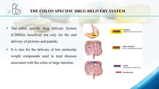 • The colon specific drug delivery System
(CDDS)is beneficial not only for the oral
delivery of proteins and peptide.
• It is also for the delivery of low molecular
weight compounds used to treat diseases
associated with the colon or large intestine.
THE COLON SPECIFIC DRUG DELIVERY SYSTEM
 