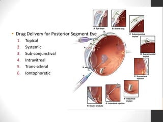 Drug delivery to the posterior segment of the eye for pharmacologic ...