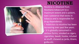 Nicotine is obtained from
Nicotiana tobaccum to a
maximum extent and is potent,
toxic substance that exists in
tobacco and is responsible for
drug dependence.
 Addiction to nicotine has been
increasing over past few years.
 it is globally consumed in
various forms; smoked as cigars,
cigarettes, beedi, hooka; inhaled
as snuff; chewed as jarda, khaini,
gutka etc.
 