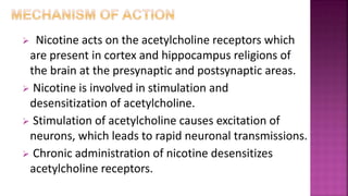  Nicotine acts on the acetylcholine receptors which
are present in cortex and hippocampus religions of
the brain at the presynaptic and postsynaptic areas.
 Nicotine is involved in stimulation and
desensitization of acetylcholine.
 Stimulation of acetylcholine causes excitation of
neurons, which leads to rapid neuronal transmissions.
 Chronic administration of nicotine desensitizes
acetylcholine receptors.
 