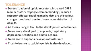  Desensitization of opioid receptors, increased CREB
(compensatory response element binding), reduced
receptor-effector coupling mechanism are the various
changes produced due to chronic administration of
opioids.
 All these changes lead to the development of tolerance.
 Tolerance is developed to euphoria, respiratory
depression, sedation and emetic actions.
 Tolerance to euphoria develops at faster rate.
 Cross tolerance to opioid agonists is also developed.
 